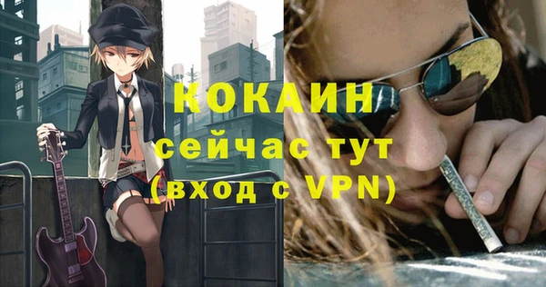 гашик Аркадак